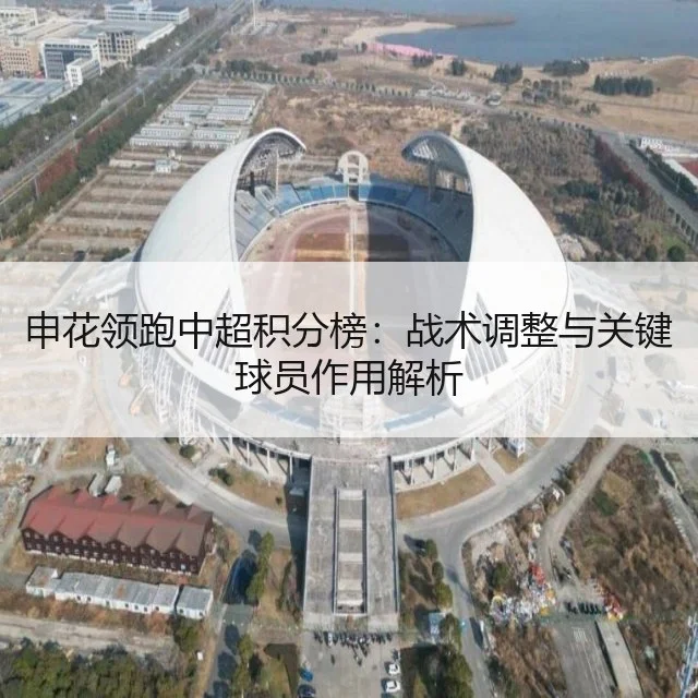 申花领跑中超积分榜:战术调整与关键球员作用解析